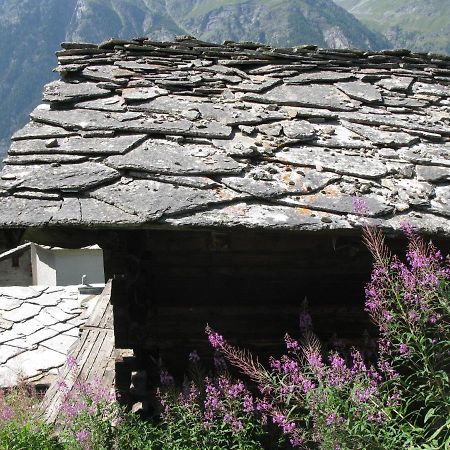 Alpia 26 - Zwei Zimmerwohnung In Traditionellem Walliser Haus Gasenried Eksteriør bilde