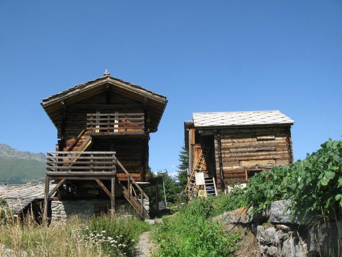 Alpia 26 - Zwei Zimmerwohnung In Traditionellem Walliser Haus Gasenried Eksteriør bilde